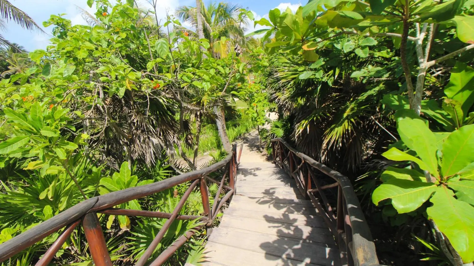 Tao Edena 94 Villa Tulum 0*,
